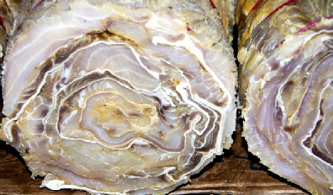 Salted and Dried Fish